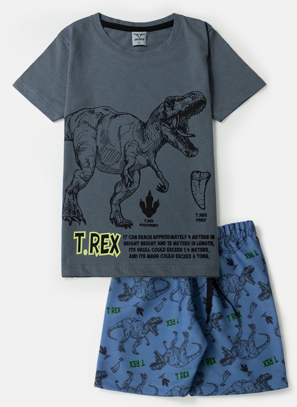 Conjunto Infantil Masculino T-Rex Chumbo 015 - Keki Boys